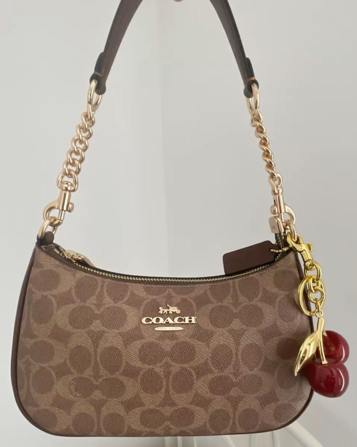 CCH Luxury Canvas Shoulder Bag