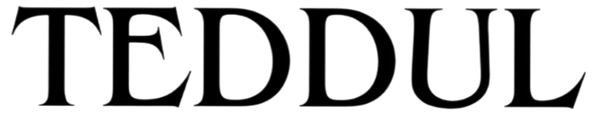 Teddul logo